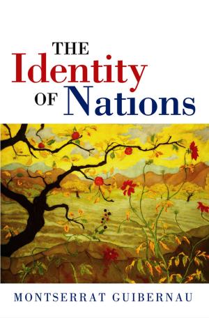 bigCover of the book The Identity of Nations by 