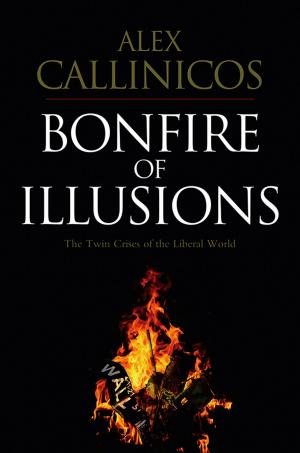 Cover of the book Bonfire of Illusions by Alex McDermott