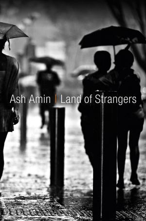 bigCover of the book Land of Strangers by 