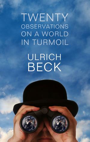 Cover of the book Twenty Observations on a World in Turmoil by Mark M. Jarzombek