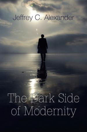 Cover of the book The Dark Side of Modernity by 