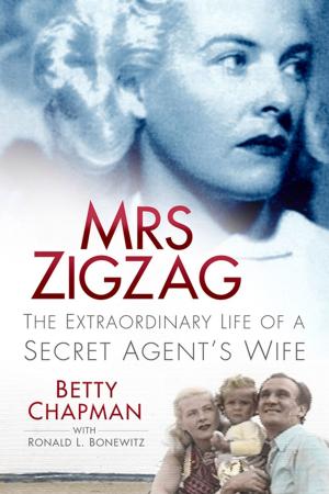 Cover of the book Mrs Zigzag by Jeff Rozelaar