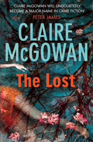 Cover of the book The Lost (Paula Maguire 1) by Rosemary Rowe