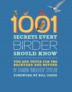 Cover of the book 1001 Secrets Every Birder Should Know by Tod Benoit