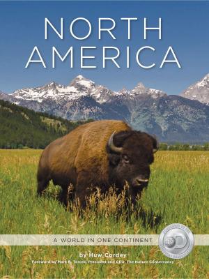 Cover of the book North America by Matt Wilkinson
