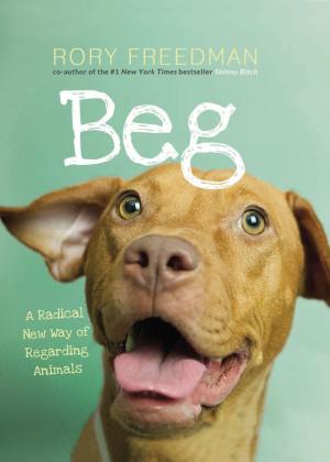 Cover of the book Beg by Beth Vrabel