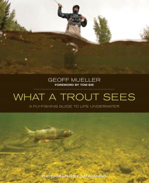 Cover of the book What a Trout Sees by Simon Hopkinson