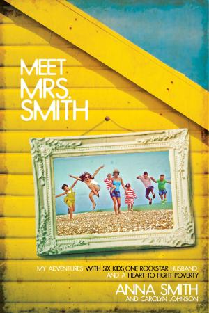 Cover of the book Meet Mrs. Smith by Britt Merrick