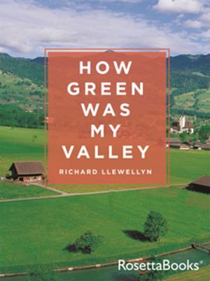 Cover of the book How Green Was My Valley by M. C. Beaton