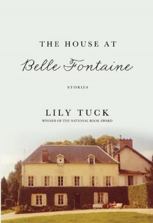 Book cover of The House at Belle Fontaine