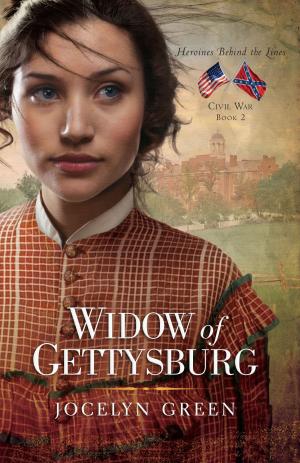 Cover of the book Widow of Gettysburg by Jayme Hull, Laura Captari