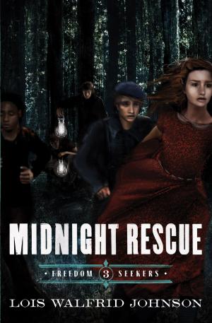 Cover of the book Midnight Rescue by Jocelyn Green