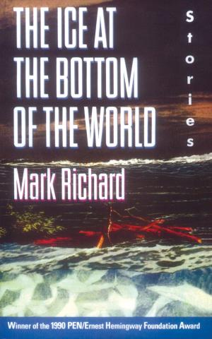 Cover of the book The Ice at the Bottom of the World by Peter Ackroyd