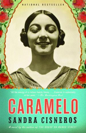 Cover of the book Caramelo by Sarah Arvio