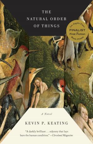 Cover of the book The Natural Order of Things by F. Scott Fitzgerald