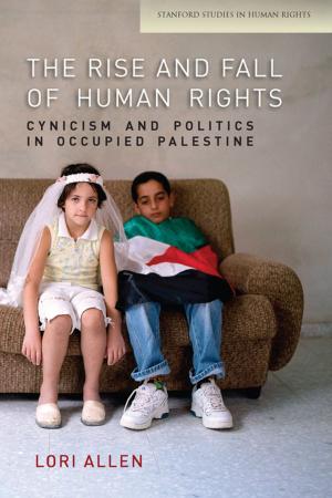 Cover of the book The Rise and Fall of Human Rights by Khiara M. Bridges