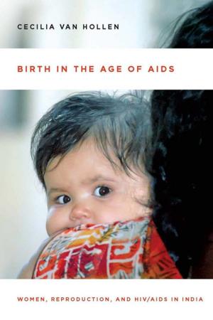 Book cover of Birth in the Age of AIDS