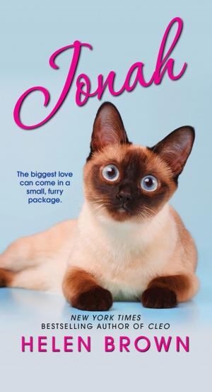 Cover of the book Cats & Daughters: by Brenda Knight