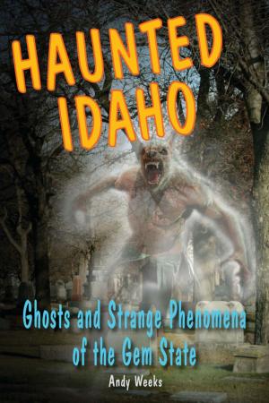 Cover of the book Haunted Idaho by Gary E. Schwartz, Ph.D.