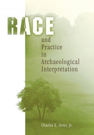 Cover of the book Race and Practice in Archaeological Interpretation by Dyan Elliott