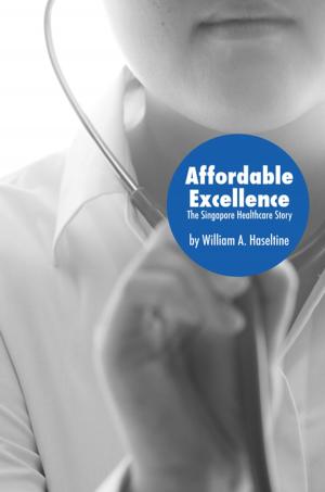 Cover of the book Affordable Excellence by Amit Offir