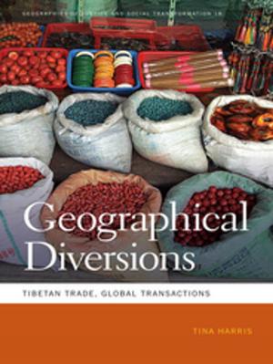 Book cover of Geographical Diversions
