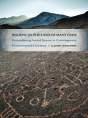 Cover of the book Walking in the Land of Many Gods by B. J. Freeman, Noel Burkhead, Joe Cook