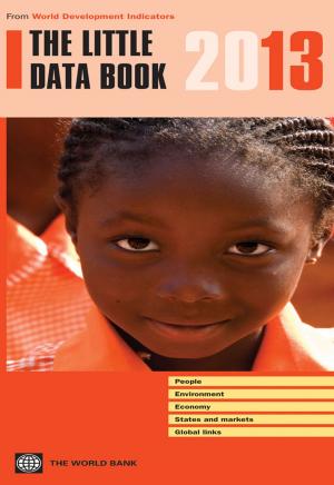 Cover of the book The Little Data Book 2013 by Bruno Losch, Sandrine Freguin-Gresh, Eric Thomas White