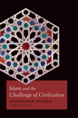Cover of the book Islam and the Challenge of Civilization by Vanessa Lemm