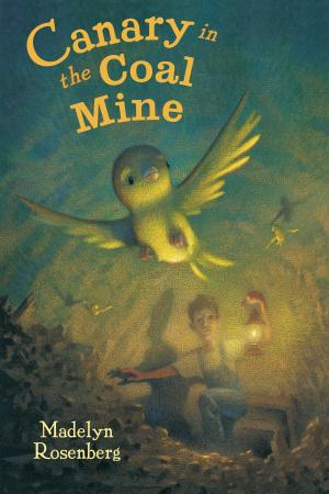 Book cover of Canary in the Coal Mine