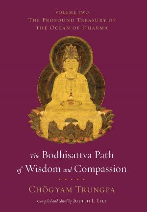 Cover of the book The Bodhisattva Path of Wisdom and Compassion by Shaun McNiff