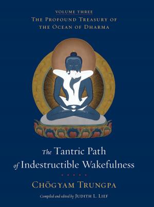 Cover of the book The Tantric Path of Indestructible Wakefulness by Ken Wilber
