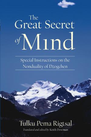 Cover of the book The Great Secret of Mind by Donald Moyer