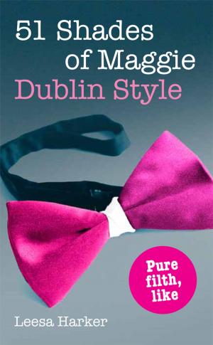 Cover of the book 51 Shades of Maggie, Dublin Style: A Dublin parody of Fifty Shades of Grey by Mary Larkin