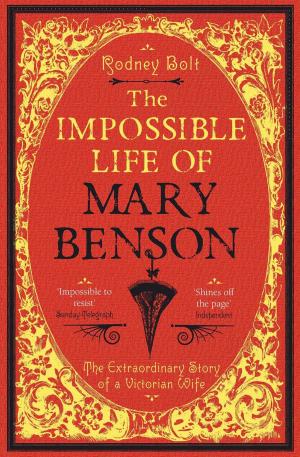 Cover of the book The Impossible Life of Mary Benson by C. S. Quinn