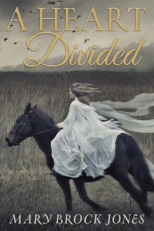 Cover of the book A Heart Divided by Lee Christine