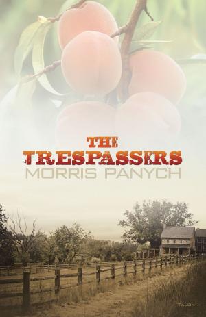 Cover of the book The Trespassers by Lucia Frangione