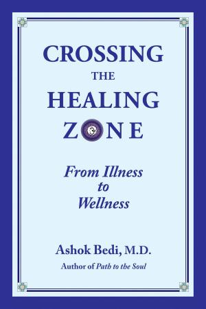 Cover of the book Crossing the Healing Zone by Ashok Bedi MD, Boris Matthews