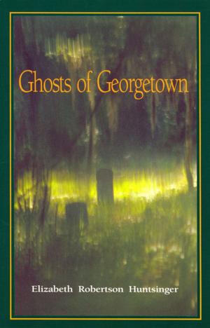 Cover of the book Ghosts of Georgetown by Donald Davis