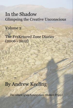Book cover of In the Shadow - Vol 2, The FraKctured Zone Diaries (2006 - 2012)