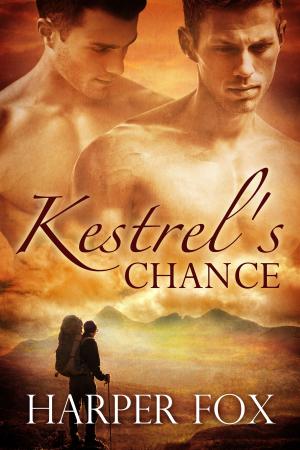 bigCover of the book Kestrel's Chance by 