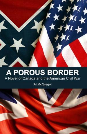 Book cover of A Porous Border