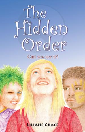 Cover of the book The Hidden Order: Can You See It? by Matthias Poehm