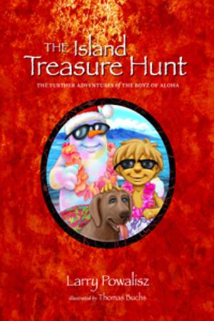 Book cover of The Island Treasure Hunt