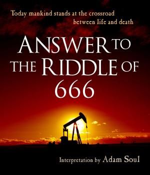 Cover of the book Answer to the Riddle of 666 by Brian Wright