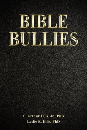 Book cover of Bible Bullies