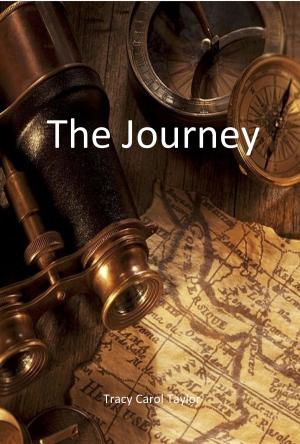 Cover of the book The Journey by Randy Nargi