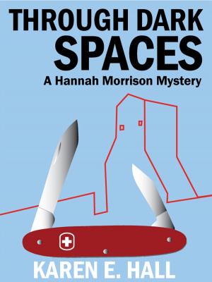Cover of the book Through Dark Spaces by Stefanie Matteson