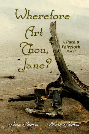 Book cover of Wherefore Art Thou, Jane?