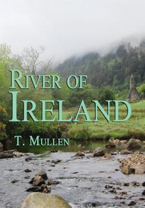 Cover of the book River of Ireland by Don Hatfield